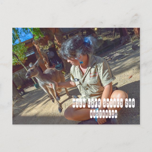 Cartão Postal Wild Life Sydney Zoo na Austrália (Frente)