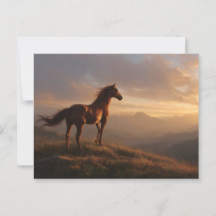 Cartão Postal Wild Mustang assistindo o pôr do sol