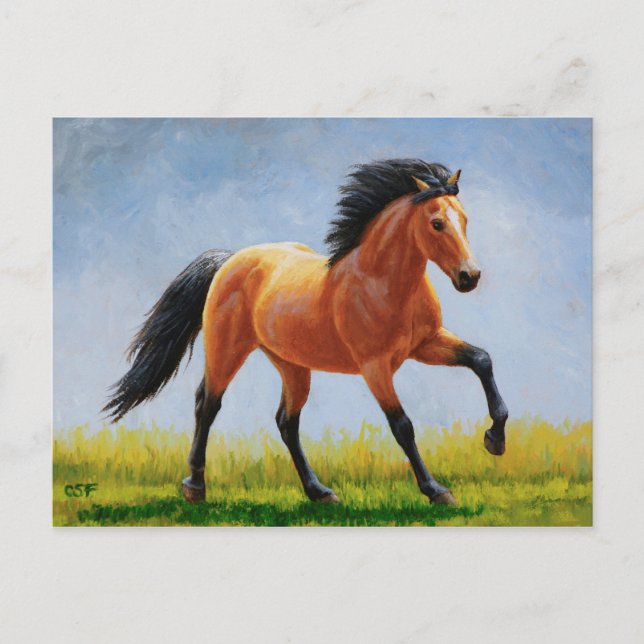 Cartão Postal Wild Mustang Buckskin Horse Running (Frente)