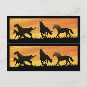 Cartão Postal Wild Mustangs