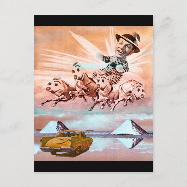 Cartão Postal Wild Ride (Frente)