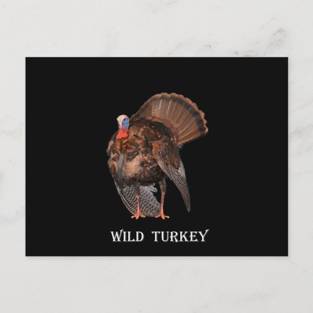 Cartão Postal Wild Turkey (Alabama, Massachusetts, Oklahoma) (Frente)