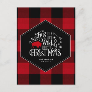 Cartão Postal Wild WonMaravilha de Natal Red Buffalo ID604