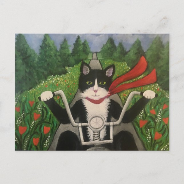 Cartão Postal Wildboy Cavalga Novamente (Frente)