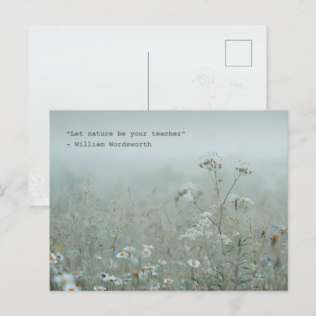 Cartão Postal Wildflower Meadow - nature aesthetic (Frente/Verso)