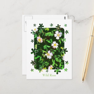 CARTÃO POSTAL WILDFLOWERS