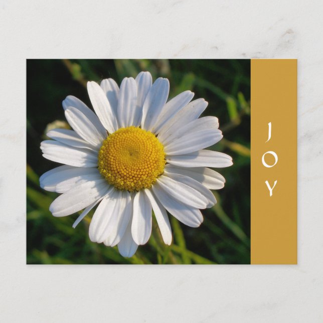 CARTÃO POSTAL WILDFLOWERS (Frente)