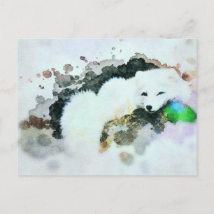 Cartão Postal *~* Wildlife AP18 Snow White Artic Fox