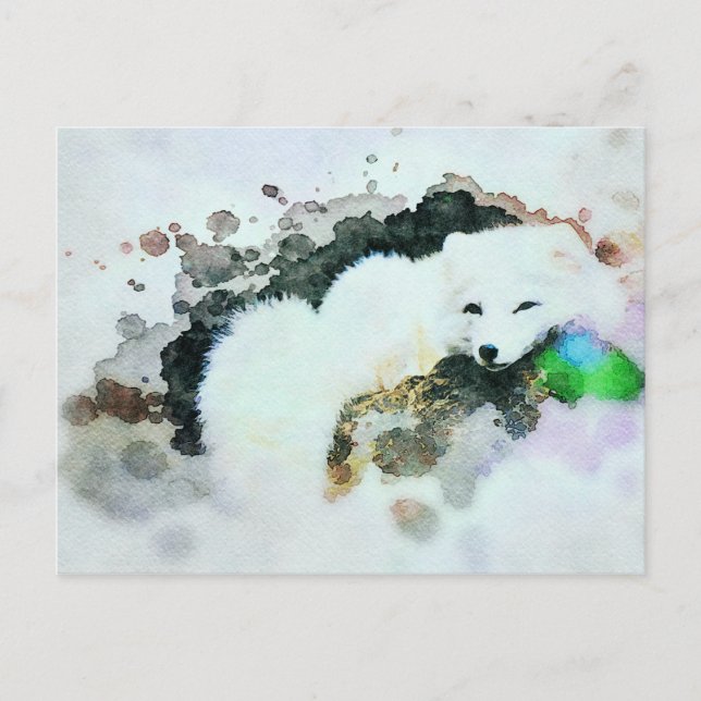 Cartão Postal *~* Wildlife AP18 Snow White Artic Fox (Frente)