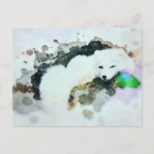 Cartão Postal *~* Wildlife AP18 Snow White Artic Polar Fox Posto