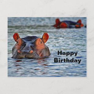 Cartão Postal Wildlife Hippo Water Photo