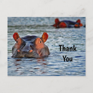 Cartão Postal Wildlife Hippo Water Photo Obrigado