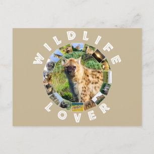 Cartão Postal Wildlife Lover Spotted Hyena
