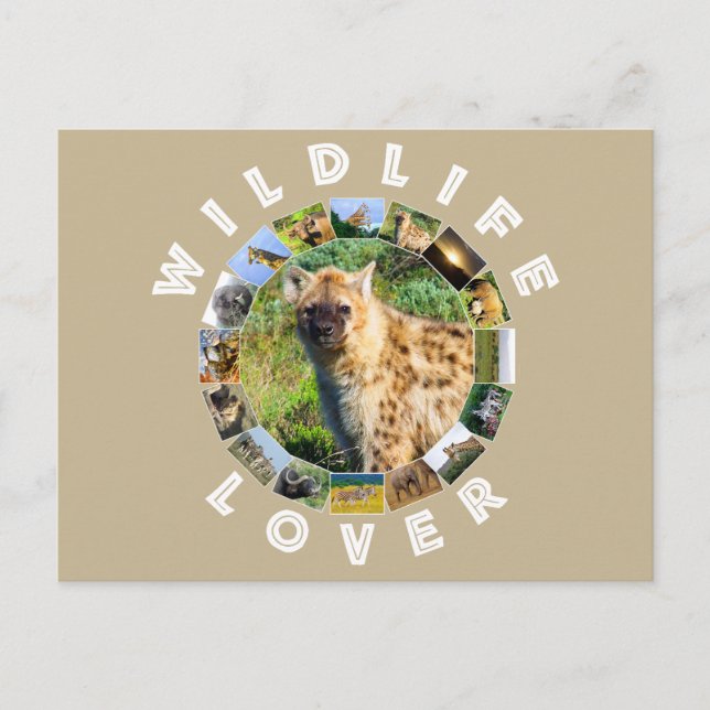 Cartão Postal Wildlife Lover Spotted Hyena (Frente)