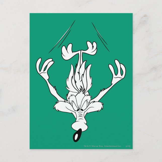 Cartão Postal  Wile E. Bomba do coyote (Frente)