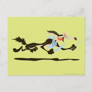 Cartão Postal Wile E. Coyote Chasing jantado