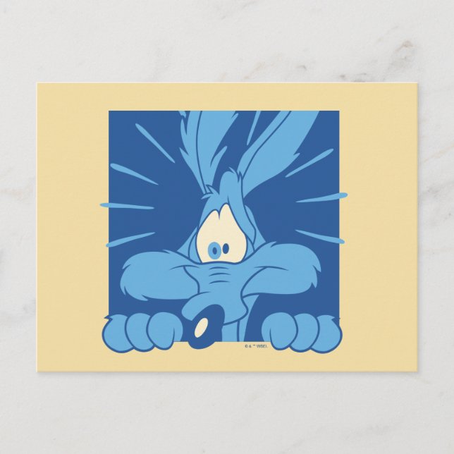 Cartão Postal WILE E. COYOTE™ Shocked Expression (Frente)