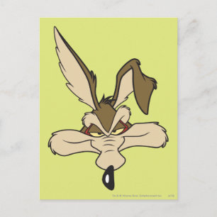 Cartão Postal Wile E. Coyote Shot Head Shot