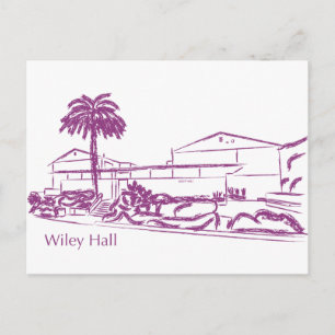 Cartão Postal Wiley