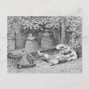 Cartão Postal William H. Barba - Cartaz picado por Bebês