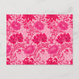 Cartão Postal William Morris Chrysanthemums, Fuchsia Pink