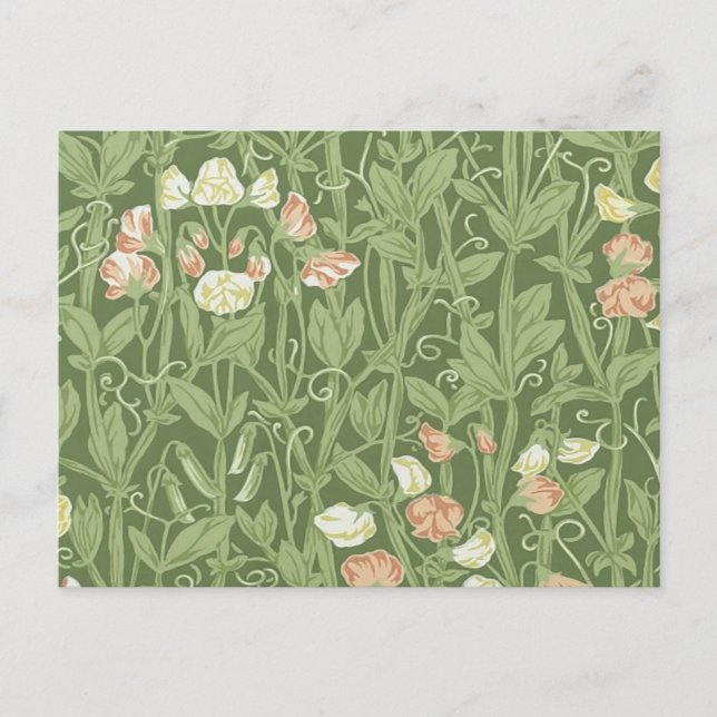 Cartão Postal William Morris Sweet Pea Floral Design (Frente)
