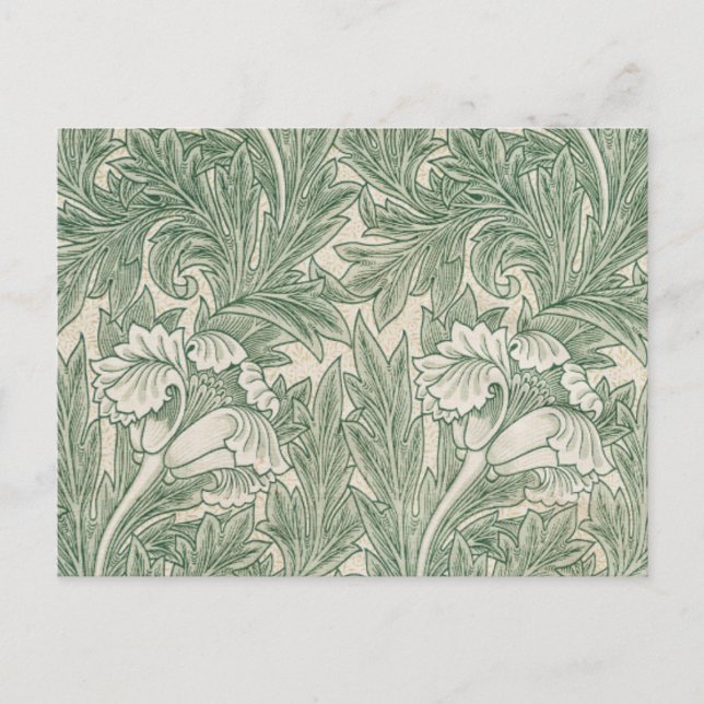 Cartão Postal William Morris Verde Sage Padrão de Tulipa: Vintag (Frente)