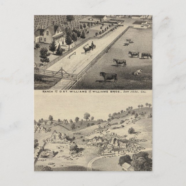 Cartão Postal Williams Ranch, Goodrich Quarry (Frente)