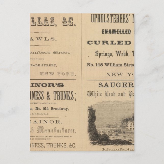 Cartão Postal Willouchby H Reed e Company (Frente)