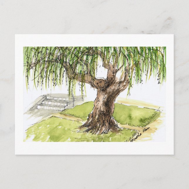 Cartão Postal Willow Tree Postcards (Frente)