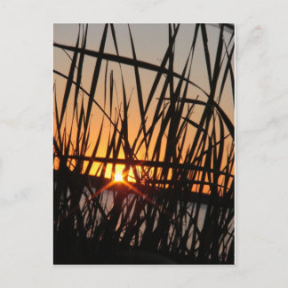 CARTÃO POSTAL WILSON LAKE SUNSET