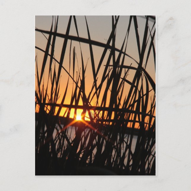 CARTÃO POSTAL WILSON LAKE SUNSET (Frente)