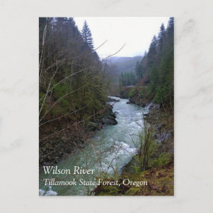 Cartão Postal Wilson River, OR