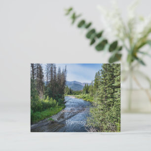 Cartão Postal Winding Wyoming Stream (rotulado)
