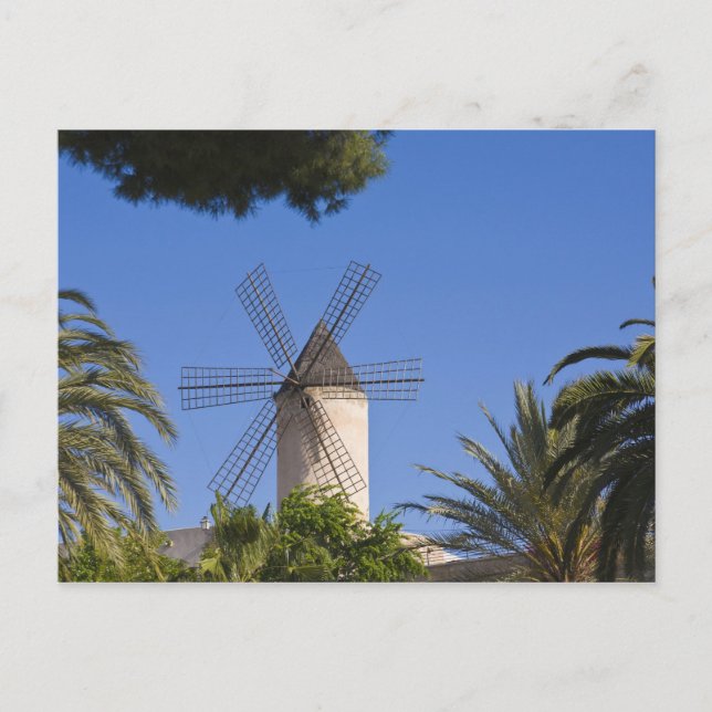 Cartão Postal Windmill, Palma, Mallorca, Spain (Frente)