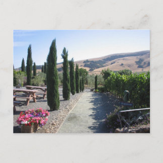 Cartão Postal Wine Country