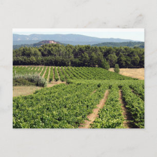 Cartão Postal Wineyard, França