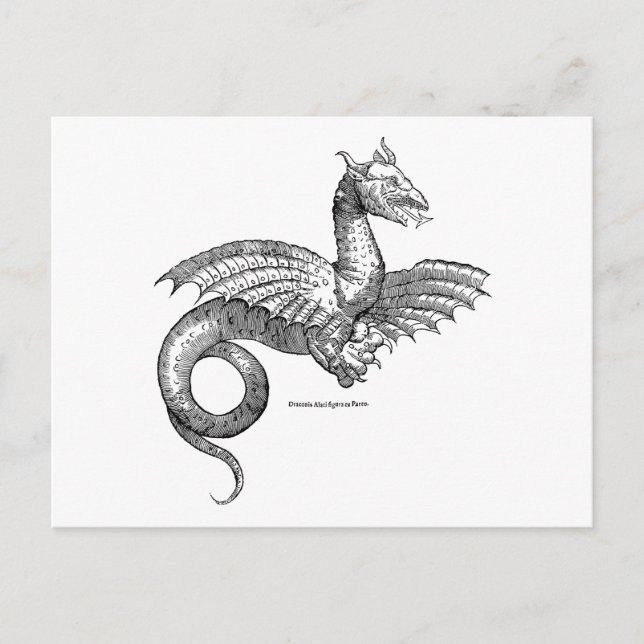 Cartão postal Winged Dragon ou Wyvern (Frente)