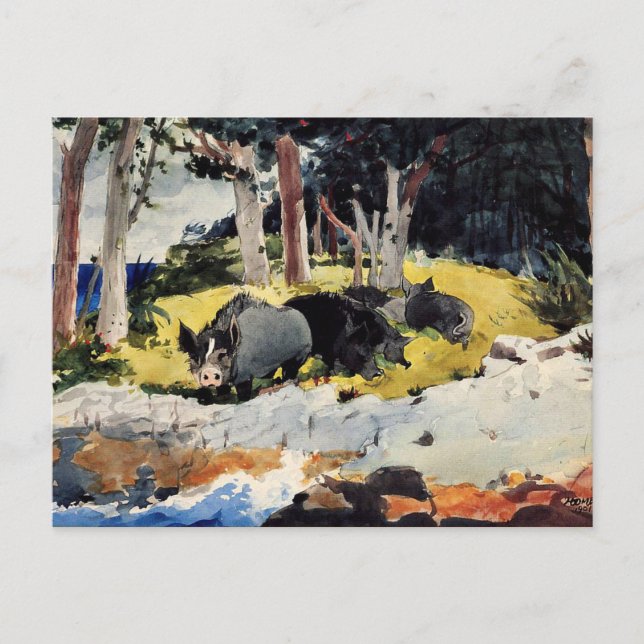 Cartão Postal Winslow Homer - Colonos das Bermudas (Frente)