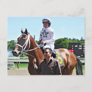 Cartão Postal Winstar Fazenda King Cyrus