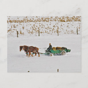 Cartão Postal Winter Amish Farmer at Work-Postcard