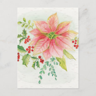 Cartão Postal Winter Blooms   Pink Blooming Poinsettia