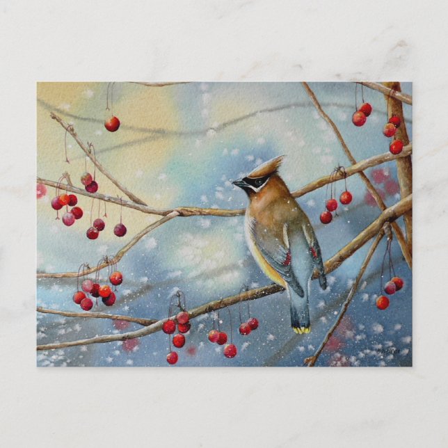 Cartão Postal Winter Cedar Waxwing Bird & Berries Watercolor Art (Frente)