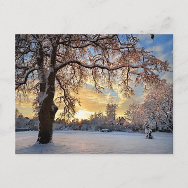 Cartão Postal Winter Countryside In Latvia (Frente)