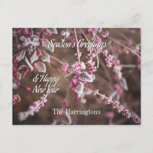 Cartão postal Winter Frost