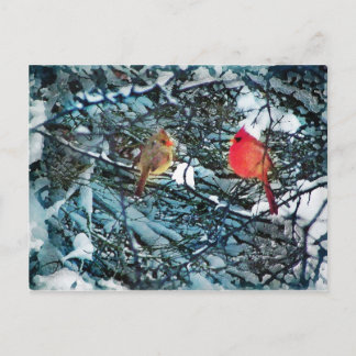 Cartão Postal Winter love, postcard