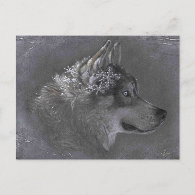 Cartão Postal Winter Maker (Frente)