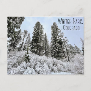 Cartão Postal Winter Park, Colorado Postcard