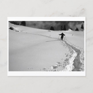 CARTÃO POSTAL WINTER PATH