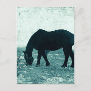 Cartão Postal Winter Percheron